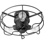 Noir (black) Cage Light Kit By Quorum; Only!. Fixed Price $245.00.