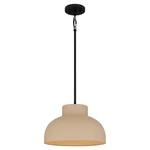 Dsi Lighting Matte Black Shaded Pendant With Creamy White Finish. Fixed Price $47.49.