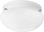 Progress Lighting P3408-30 White 1-LIGHT Flush Mount Ceiling Fixture Glass Shade. Fixed Price $12.50.