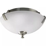 Progress Lighting P3290-09 Wisten Flush Mount Ceiling Nickel. Fixed Price $39.99.
