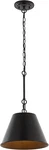 12" Oil Rubbed Bronze 1-LIGHT Industrial Farmhouse Iron Led Pendant Light, Adjus. Fixed Price $166.99.