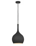Hinkley Lighting 4457 Ziggy 12"W Pendant - Black. Fixed Price $349.00.