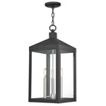 Livex Lighting 20587-04 Nyack 3 10.5 Inch Black Outdoor Pendant Lantern. Fixed Price $649.96.