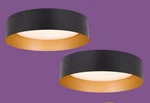 Bargeni 12.5" Flush Mount Ceiling Lights 18W Led Matte Black/champagne Gold 2-PK. Fixed Price $49.00.