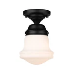 Z-lite 735F1 Vaughn 6"W Flush Mount Ceiling Fixture Black. Fixed Price $50.00.
