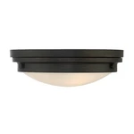 Savoy House Lucerne 2-LIGHT Ceiling Light, English Bronze 6-3350-14-13. Fixed Price $204.00.