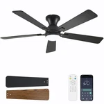 Dolavast Ceiling Fans With Lights, 52 Low Profile Inch, Black. Fixed Price $139.46.