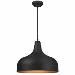 Westinghouse 6371700 One-light Indoor Pendant Light, Textured Iron Finish. Fixed Price $137.57.