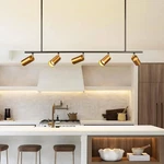 Vortex 4FT Track Lighting Kit 5-LIGHT Linear Chandelier GU10 Adjustable Heads. Fixed Price $74.66.