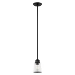 Livex Lawrenceville Light Pendant, Black/hand Blown Clear Seeded 40021-04. Fixed Price $197.96.
