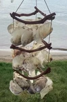 Tiered Saddle Oyster Shells Chandelier Twigs 35 X 13 Classic Sea Shore Decor. Fixed Price $19.99.
