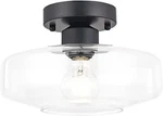 Tehenoo Semi Flush Mount Light, 10.24 Inch Clear Glass Shade, Tebara Close To Ce. Fixed Price $7.99.
