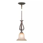Vaxcel Lighting PD35491 Bronze Monrovia 1-LIGHT Mini Pendant. Fixed Price $55.00.