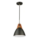 Artcraft Lighting SC13321BK Tote Led 9 Inch Black Pendant Ceiling. Fixed Price $169.99.