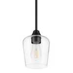 Hampton Bay Pavlen 5.5 In. 1-LIGHT Black Mini Pendant With Clear Glass Shade. Fixed Price $15.99.
