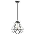 Livex Geometric Light Pendant, Shiny Black 41324-68. Fixed Price $125.96.