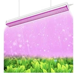 Packs Of Shopled 4FT Grow Light, 64W Lights For Indoor Plants. Fixed Price $67.95.