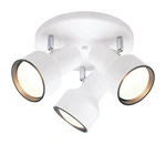 Westinghouse 8-1/4 In. X 10-1/8 10-3/16 Ceiling Light. Fixed Price $57.13.