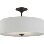 Progress Lighting Inspire 18 In. Antique Bronze 3-LIGHT Semi-flush Mount P350168. Fixed Price $109.90.