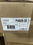Progress Lighting P4609 Round Glass Series 12" Two-light White. Fixed Price $29.00.