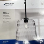 Progress Mauzy Lighting Pendant, Clear Water Glass 10 Inch P500491-31M. Fixed Price $49.95.
