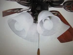 Progress Lighting Fan Kits 3-LIGHT Antique Bronze Ceiling. Fixed Price $33.96.