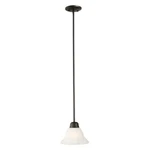 Design House 514513 Millbridge Traditional 1-LIGHT Indoor Dimmable Mini Penda.... Fixed Price $55.49.