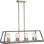 Trans Globe Adams Light Pendant, Black/brushed Nickel 10468BK-BN. Fixed Price $269.99.