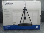 Progress Lighting Aleswith Collection 12 In. 1-LIGHT Black Rustic Modern Pendant. Fixed Price $44.99.