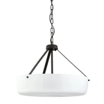 Progress Lighting P500508 Lieon 3 21"W Pendant / Converts - Bronze. Fixed Price $259.98.