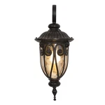 Viviana 1-LIGHT Oil Rubbed Bronze Outdoor Wall Lantern Sconce By Yosemite Hd. Fixed Price $79.65.