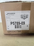 Progress Lighting P5789 4 Flush Mount Outdoor Ceiling - Nickel. Fixed Price $49.00.