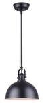 Canarm Polo 1-LIGHT Pendant Light, Black Finish With White Interior, Transiti.... Fixed Price $78.78.