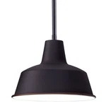 Maxim 35017 Pier Light 8-1/4"W Outdoor Warehouse Pendant. Fixed Price $66.60.
