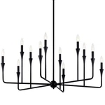 Kichler 52692 Alvaro 12 Light 40"W Taper Candle Style Chandelier - Black. Fixed Price $647.99.
