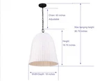Allen + Roth Elizabeth Black Canopy With White Rattan Shade Modern/contemporary. Fixed Price $49.99.