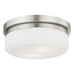 Livex Lighting Stratus 2 Brushed Nickel Ceiling Mount Or Wall. Fixed Price $111.99.