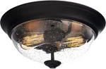 13 Inch Elegant Flush Mount Ceiling Light, Seeded Glass Lighting Fixture, Bedroo. Fixed Price $67.99.