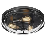 Luminzone 16 Flush Mount 3-LIGHT Ceiling With Clear Glass Shade. Fixed Price $57.00.