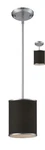Z-lite Cameo Chocolate/brushed Nickel Convertible Pendant/semi Flush. Fixed Price $47.99.