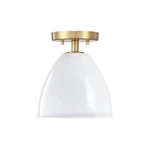Designers Fountain Biba 8.25" 1LT Semi Flush Mount, Gold/ice Mist D300M-SF-BG. Fixed Price $54.99.