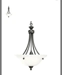 Progress Lighting P3608-77 3-LAMP 75W 120V Forged Bronze Ceiling. Fixed Price $254.44.