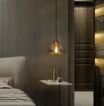 Lnc Anila Modern 9.8 In. 1-LIGHT Black And Plated Brass Pendant. Fixed Price $52.20.