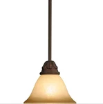 Volume Lighting V5821-31 Mini-pendant Fixture Oil Rubbed Bronze Finish. Fixed Price $29.95.