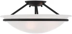 Livex 4824-04 3 Light Ceiling Mount, Black. Fixed Price $201.96.