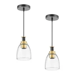 Vevor Pendant 1-LIGHT Lighting With Glass Shade Adjustable Height. Fixed Price $39.99.