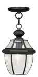 Livex Lighting 2152-04 Monterey 8.5 Inch Black Outdoor Pendant Lantern. Fixed Price $183.96.