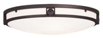 Livex Lighting 4488-07 Titania 3 16 Inch Bronze Flush Mount Ceiling. Fixed Price $239.96.