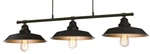 Roseto WCH50247 Red Deer 3 Light 40"W Linear Chandelier - Bronze. Fixed Price $212.93.