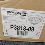 Progress Lighting Flush Mount Ceiling Fixture Brushed Nickel P3818-09. Fixed Price $29.15.